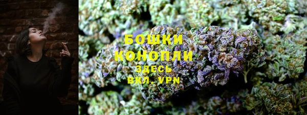 таблы Новозыбков
