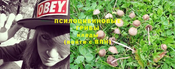 соль ск Нягань