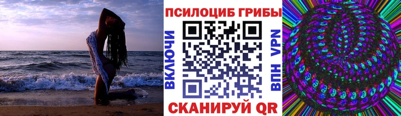 Галлюциногенные грибы Cubensis  blacksprut ссылка  Родники  как найти закладки 