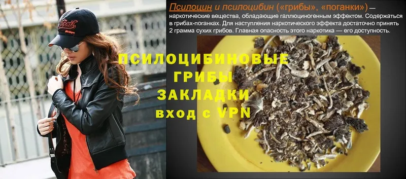 что такое наркотик  Родники  Галлюциногенные грибы GOLDEN TEACHER 