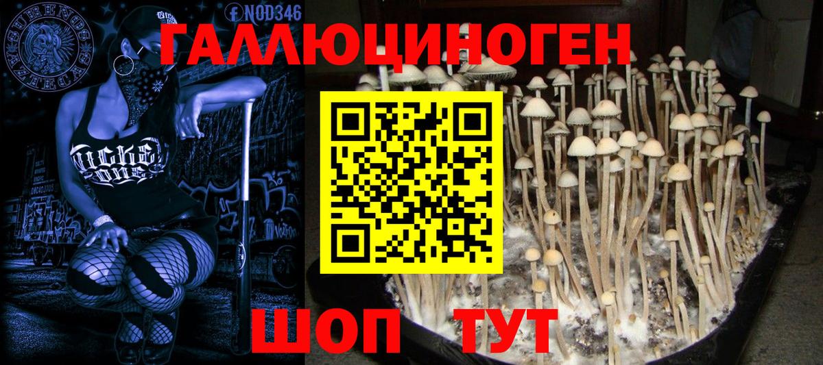 Галлюциногенные грибы Cubensis Родники