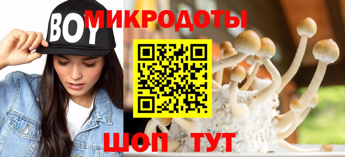 Псилоцибиновые грибы MAGIC MUSHROOMS Родники