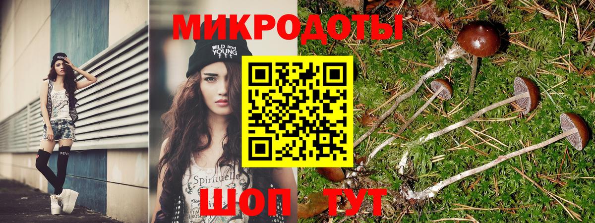Родники  Галлюциногенные грибы ЛСД  где можно купить   Вход с VPN 